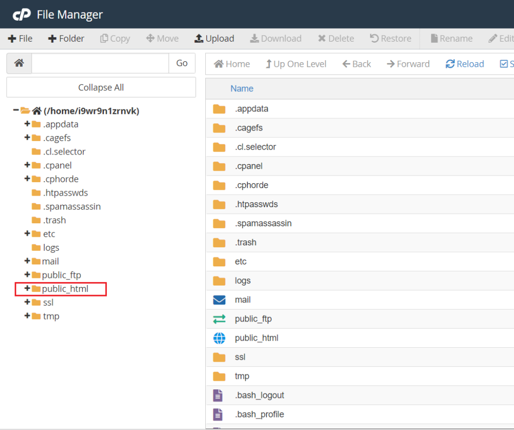 How to Upload Theme and Plugin via cPanel
