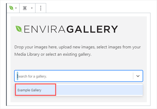 envira select gallery